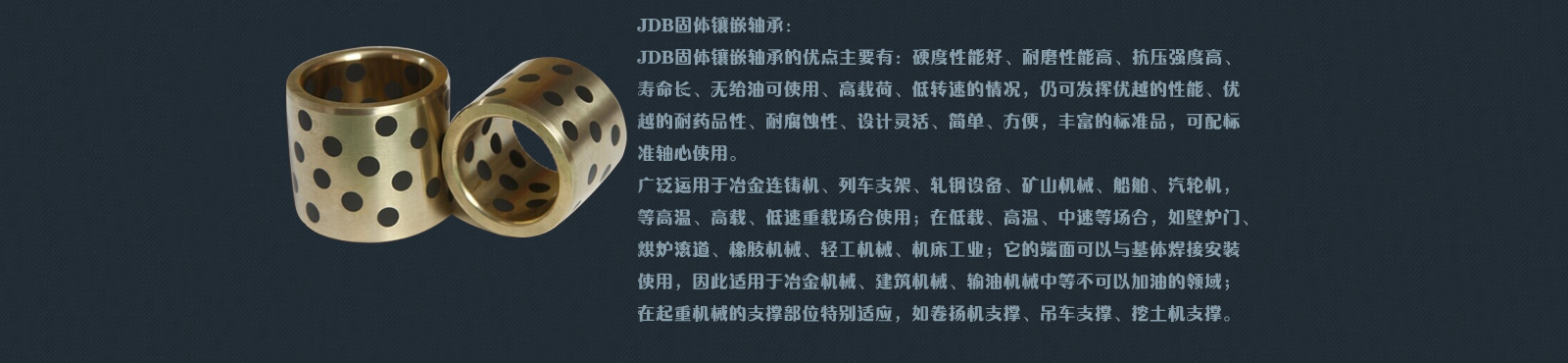 JDB固體鑲嵌軸承